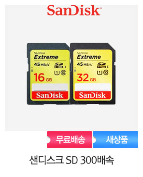 [샌디스크]샌디스크 SD 300X 16GB