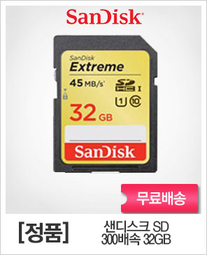 [샌디스크]샌디스크 SD 300X 32GB
